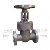 Titanium valve 03