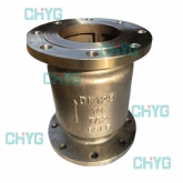 Titanium vertical check valve