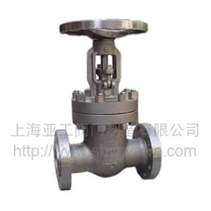 Titanium valve 03