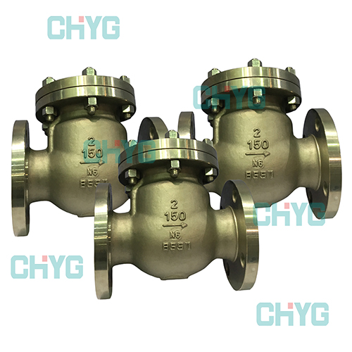 N6 check valve
