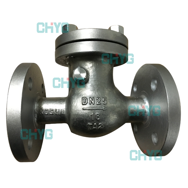 Titanium H44 check valve